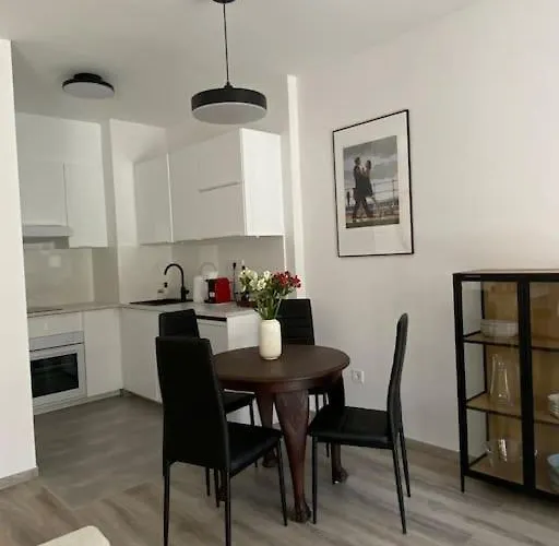Zene Lux Vinyl Record Player & Projector Apartament *